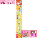 スケーター (skater) 歯ブラシ 園児用 3-5才 やわらかめ ポケットモンスター ポケモン 14cm TB5S-A