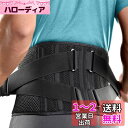 FREETOO 腰ベルト サポート【整復師が考えた】腰 サポーター ダ...(4)