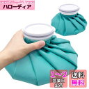 【送料無料】GOKEI アイスバッグ 氷のう 氷嚢 【S+Mセット】 アイシングバッグ 大口径 冷温両用 水漏れ防止 アイス バッグ スポーツ 手首用 肘用 膝用 関節 夏の暑さ対策グッズ ティファニー・ブルー