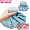 GOKEI アイスバッグ 氷のう 氷嚢 【S+Mセット】 アイシングバッグ 大口径 冷温両用 水漏れ防止 アイス バッグ スポーツ 手首用 肘用 膝用 関節 夏の暑さ対策グッズ いぬ・ブルー