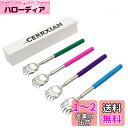 CERRXIAN 孫の手 クマの爪 伸縮 携帯 伸びる熊の手 伸びる孫の手 かゆいところに手が届く 伸縮自在 背中か ボディくすぐる、ステンレス鋼とゴム製のハン...