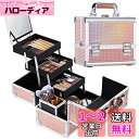 Hapilife プロ仕様 メイクボックス 大容量 化粧品収納 コスメ収納 メイク道具 コスメボックス 鏡付き 収納ボックス 鍵付き (オレンジ)