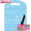 シック Schick ハイドロシルク サロンプラス トーンアップ フェイススムーサー 替刃(3コ入) カミソリ