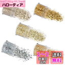 YFFSFDC ラメホログラム 5色セット キラキラ ネイルパーツ ネイルアート 容器付き グリッター ラメグリッター ラメパウダー ネイルパウダー 顔飾り ヘア飾り 新年 クリスマス メイク用品 ゴールド (ゴールド)