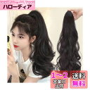 happykau ポニーテールウィッグ ロング クリップ 長さ45 55cm 4色展開 ウィッグ ポニーテール エクステ 付け毛 カール ブラック 巻き髪 つけ毛 (55cm, ライトブラウン)