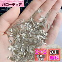 MAEXUS グラマラス ネイルアート パーツ 約200粒セット 超小型 華麗な多様デザイン オーロラ効果 キラキラ 立体 平底 特殊形状 ネイルデコレーション DIY カラフル ネイルデザイン