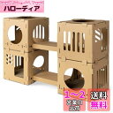 Navaris 猫 段ボール キャットタワー トンネル ベッド - つめとぎ ハウス キャットハウス 窓 組み立て - ネコ ウサギ 用