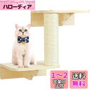 Umora 猫用 キャットタワー 宇宙船 キャットステップ 寝床 猫棚 木製 壁付け ウォールナット カプセル インテリア(2層キャットシェルフ)