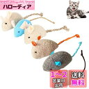 YFFSFDC猫 ネズミ玩具6個セット ペットおもちゃ 噛むおもちゃ ぬいぐるみ おもちゃストレス解消 運動不足 ペット用品