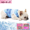 Hakona 犬服 夏 クール ひんやり 冷感ベスト ブルー 冷却ベスト メッシュ 夏服 薄手 涼しい 吸水速乾 超軽量 熱中症対策 暑さ対策グッズ 日焼き防ぐ お出かけ お散歩 クーリングスーツ 小中型犬用 猫用 L