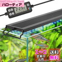 hygger 水槽ライト LEDアクアリウムライト 75-90CM対応 新開発のDIYモード WRGB割合を調整可能 LCDディスプレイ 8色白/赤/橙/黄/緑/青/藍/紫LED 昼光と月光モード タイマー自由に設定 10段階明るさ調整 IP68防水仕様 観賞魚飼育 水草育成用