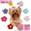 Hitasi ペットヘアピン 犬 猫用髪飾り ペット用ヘアクリップ 8枚セット ヘアボールヘアピン ペット用 前髪クリップ 可愛い 花 着脱簡単 雰囲気 飾るク...