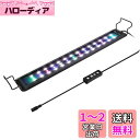 hygger 水槽 ライト 10段階明るさ調整 水槽用 照明 ledライト アクアリウムライト 防水 6H8H12Hタイマー 水草 育成 熱帯魚 観賞魚 飼育 3つの照明モード 45-65CMの水槽対応 (16W)