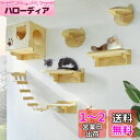 Umora 猫用 キャットタワー 猫家具 キャットステップ 猫棚 猫ハウス 木製 吊り橋 爪とぎポール キャットウォーク 壁付け 遊び場 ストレス解消 9つセッ...
