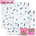LOOBANI 2枚セット 犬 猫用洗えるペットシーツ おしっこマット ペット用 トイレ下敷きマット 速乾 滑り止め 繰り返し使える (29*29CM, 2枚セット)