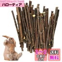 LIKENNY りんご枝 りんごの木 リーフ 小動物 おやつ かじり木 噛むおもちゃ 歯を磨く 無添加 無着色 安心 うさぎ おもちゃ 天然 極細枝 モルモット ケージ リス 餌 チンチラ ストレス解消(100g)