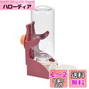 DIZLAS ペット 水飲み器 給水器 給水ボトル うさぎ 犬 猫 フェレット 小動物 ケージ用 取り付け(レッド)