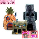 DFsucces アクアリウム パイナップルハウス イカルドの家 装飾 3点セット 水槽用アクセサリー 魚のおもちゃ DIY 雰囲気作り 安全性 耐久性