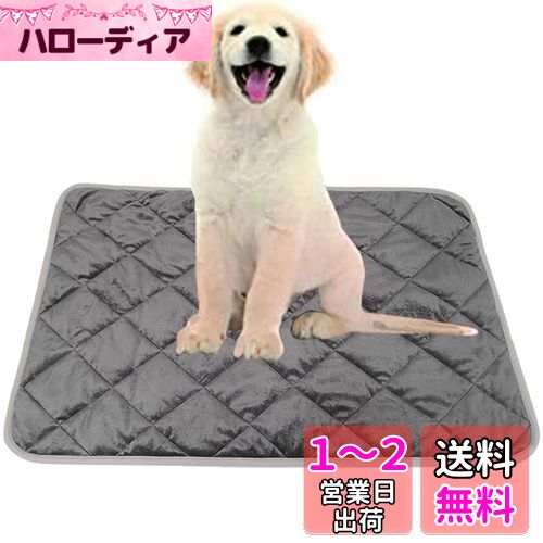 YFFSFDC ペットベッド 猫 犬 マット 暖かい ペット用 ブランケット ホットマット 物理的保温 睡眠マット 布団 寒さ対策 冬小動物 洗える 柔らかい 消臭 滑り止め 介護 小型 中型 猫 犬用 丸ごと洗える 繰り返し使用可能 エコ 制菌 50*40CM (グレー) YFFSFDC ペットベッド 猫 犬 マット 暖かい ペット用 ブランケット ホットマット 物理的保温 睡眠マット 布団 寒さ対策 冬小動物 洗える 柔らかい 消臭 滑り止め 介護 小型 中型 猫 犬用 丸ごと洗える 繰り返し使用可能 エコ 制菌 50*40CM (グレー)