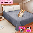 LOOBANI 防水カバー ベッド 防水シーツ シングル ダブル ベッド 犬 猫用 ベッドカバー 防水 ソファー 防水シーツ 漏れ防止 滑り止め 家具プロテクター 丸ごと洗える 噛み耐性 速乾 消臭 防ダニ 抗菌加工 大判 おねしょシーツ 尿失禁 ペット粗末対策 介護用 (2.08M*2.08M