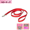 PetSafe ナイロンリード 犬 調整簡単 耐久性が高い ソフト 軽い 犬 リード 中型 犬(幅1.9cm×長さ180cm レッド)