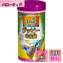テトラ (Tetra) ジャングルグッピー 70g 熱帯魚 餌 フード