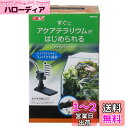 ジェックス GEX AQUA FILTER アクアテラメーカー 分水パイプ 流量調整機能 コンパクト設計テラリウム用底面フィルター