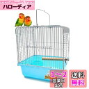 Gifty 鳥 ケージ 止まり木付き 小型 鳥かご 小鳥 文鳥 手乗り用 ゲージ インコ 移動 キャリー お出かけ バードケージ 持ち運び