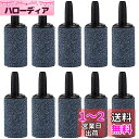 ZOYUBS エアーストーン セット 円筒形エアストーン 15*25mm 水槽酸素石 空気石 酸素を出す石 エアストーン 気泡ディフューザー バブルメイト ミニ...