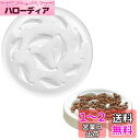 fogman 早食い防止 フードボウル スローフード 滑り止め付 餌皿 食器 犬 猫 (Sサイズ)