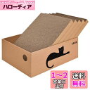 LIFLIX 猫 爪研ぎ 段ボール ダンボール箱に猫爪とぎ5枚入り 両面使い 猫ベッド 経済的 掃除楽 42×32×15cm