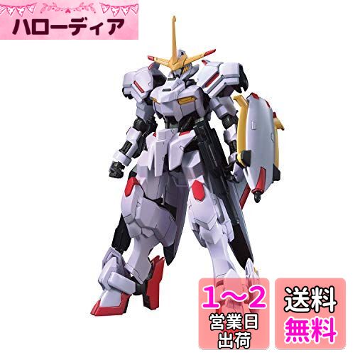 HG ưΥ ŴΥե ü 1/144 ʬѤߥץǥ