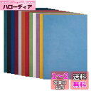 BENECREAT 12枚29x20cmカラフルベルベット生地 ビロード生地 柔らかい 毛落ちない ベロア パッチワーク ぬいぐるみ 小物作り 裁縫材料