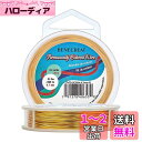 BENECREAT 全長20m線径0.7mmアクセサリーワイヤー アートワイヤー 光沢感 変色防止 ジュエリー作り ビーズクラフト 手芸素材(ゴールド)