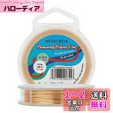 BENECREAT 20m アクセサリーワイヤー 線径0.7mm 銅製 ライトゴールド ワイヤー クラフト銅線 アートワイヤー 細い銅線 ワイヤー アクセサリーパーツ DIY 手作り 手芸用 アクセサリー用ワイヤー ビーズクラフト ジュエリー作り