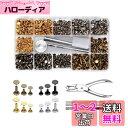 YFFSFDC レザークラフト カシメセット 3サイズ 4種色リベット スタッズ 底鋲 打ち具セット 丸形6mm 8mm 12mm 穴あけ 打ち具 打ち台 パーツ DIY 手作り ベルト 布革細工 靴 ジーンズカバン 収納ケース付き (240組)