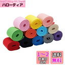 BENECREAT 全長12m幅50mm 平ゴム 織りゴム カラフル 12色 弾性バンド 手芸裁縫 裁縫材料 交換バンド 裁縫用 手芸 手作り素材