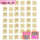 DERAYEE 磁気ボタン 縫い付け式 留め具 縫いやすい 手芸用品 20組 DIY 手作り 工具 ボタン磁石 (18mm, ゴールド)