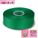 ITIsparkle ポリエステル綾リボンヘリンボーンテープ 幅38mm×22M巻 手芸 服飾 ラッピング ちょう結び リボン #580-エメラルド