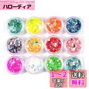 YFFSFDC クラッシュ ホログラム 12色セット ネオンフレーク 素材 手芸 レジン 封入 パーツ ネイルアート ラメフィルム