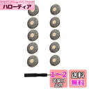 YFFSFDC ボタン ジーンズ デニム 交換 リメイク用 17mm 10個セット ジーパン直し ネジ式 簡単取付け DIY 手作り 手芸/家庭/裁縫用 専用ドライバー付き (銅色)