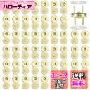 DERAYEE 磁気ボタン 差込式 留め具 DIY 手作り 50組 (ゴールド, 18mm)