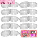 LOYELEY コイン ケース カプセル コインホルダー 内径27mm 20個セット 保護 透明 プラスチック コインケース クリアケース コレクション 記念 ...