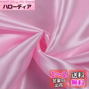 DERAYEE シルク風 サテン生地 織物 生地 輝き 約142cm×200cmカット 肌触りの良い 選べる5色 手作り DIY 裁縫 手芸 贈り物 (2M, ...