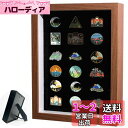 Umora ピンバッジ用 収納 フレーム ブローチ バッジ フェルト 展示 防塵 透明窓付 ブローチピン 2way コレクションケース 20.3*15.2*5cm(クルミの枠)(3)