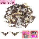 PH PandaHall 120枚入り コーナー金具 ボックスコーナー 装飾金具 4色 アンティーク調 レトロスタイル 木箱の飾り 台座 フォトフレーム 手帳コ...