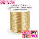 BENECREAT 120m 巻アクセサリーワイヤー 銅製ワイヤー 線径0.4mm 26ゲージ クラフト銅線 アートワイヤー 変色防止 アクセサリーパーツ DIY 手作り 光沢感 アクセサリー用ワイヤー ビーズクラフト ジュエリー作り(ライトゴールド)