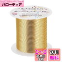 BENECREAT 80m 巻アクセサリーワイヤー 銅製ワイヤー 線径0.5mm 24ゲージ クラフト銅線 アートワイヤー 変色防止 アクセサリーパーツ DIY 手作り 光沢感 アクセサリー用ワイヤー ビーズクラフト ジュエリー作り(ライトゴールド)(3)