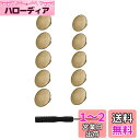 YFFSFDC ボタン ジーンズ デニム 交換 リメイク用 17mm 10個セット ジーパン直し ネジ式 簡単取付け DIY 手作り 手芸/家庭/裁縫用 専用ドライバー付き (銅色 #1)