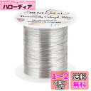 BENECREAT 150m 巻アクセサリーワイヤー 銅製ワイヤー 線径0.3mm 29ゲージ クラフト銅線 アートワイヤー 変色防止 アクセサリーパーツ DIY 手作り 光沢感 アクセサリー用ワイヤー ビーズクラフト ジュエリー作り(シルバー)